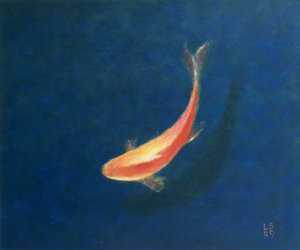 Peces de colores